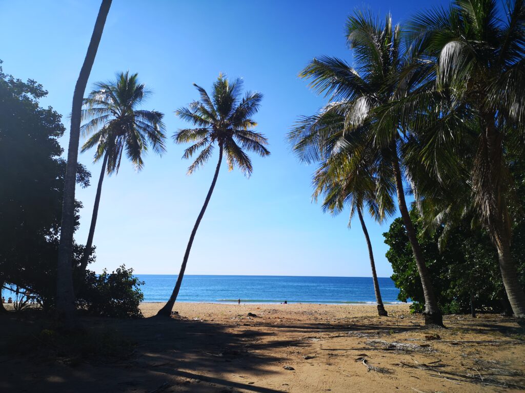 Uitzoeken vakantie Australië